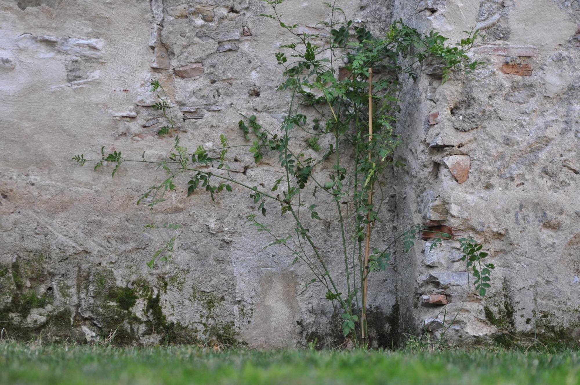 Hotel Convento Tarifa